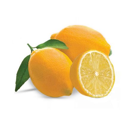 Picture of Mayer Limon