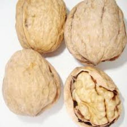 Franquette Ceviz resmi